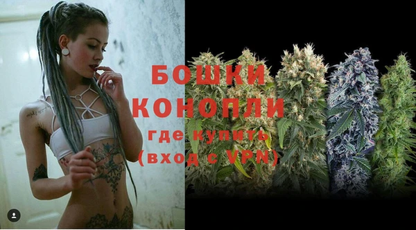 индика Киренск