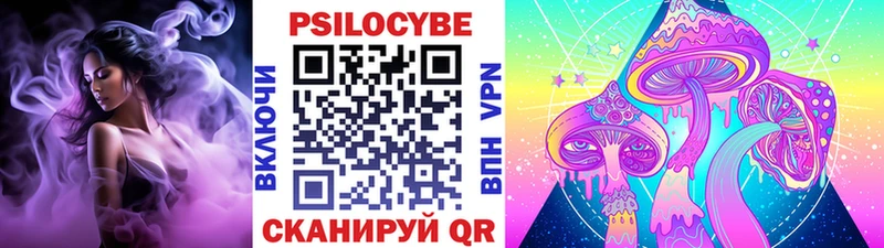 Галлюциногенные грибы Magic Shrooms  Купить где  Камызяк 