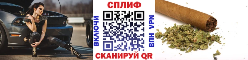 Купить закладки  Камызяк  Каннабис VHQ 
